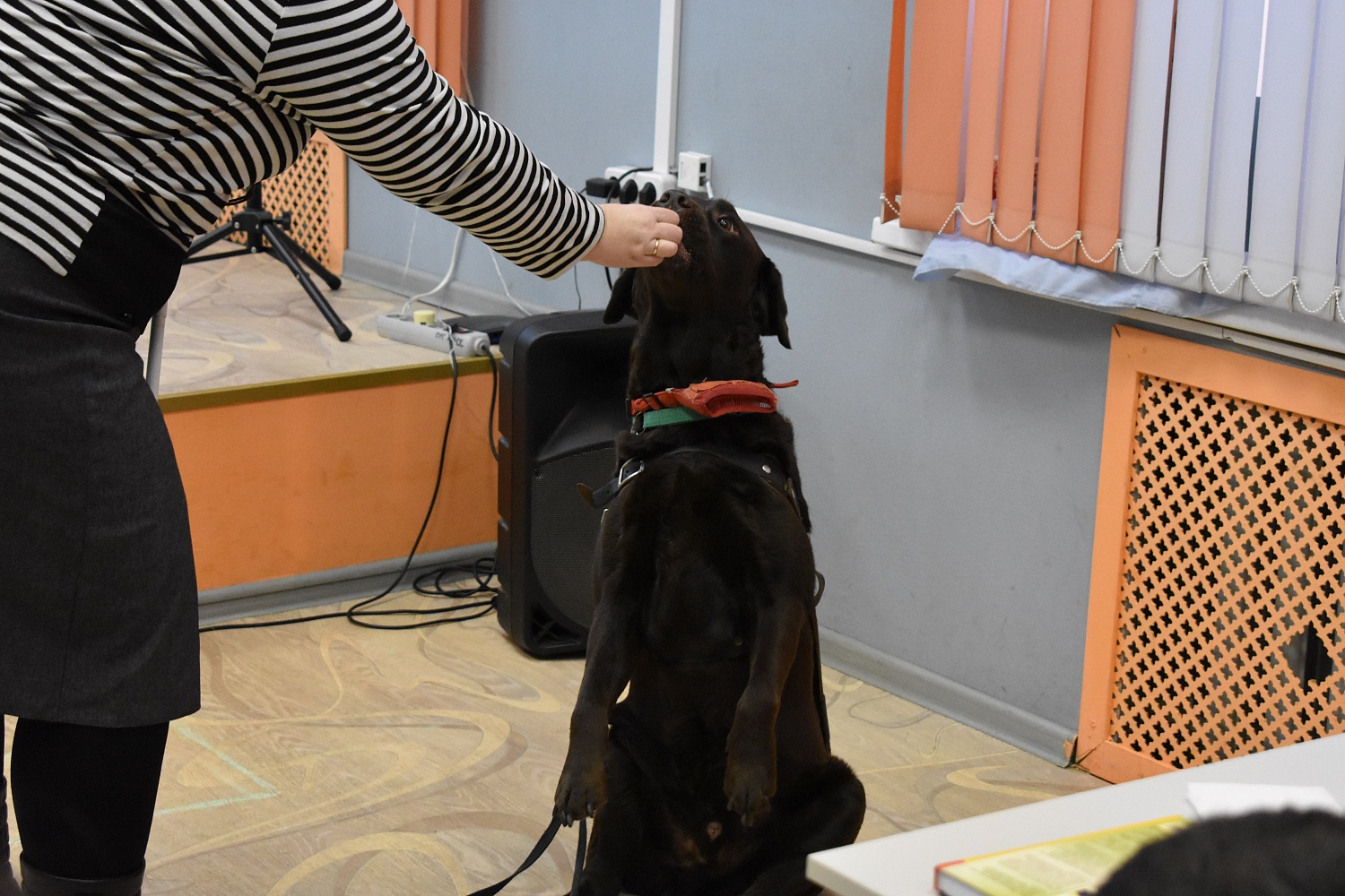 Познавательно-игровое занятие